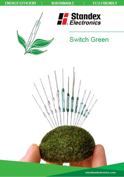 switch green flyer